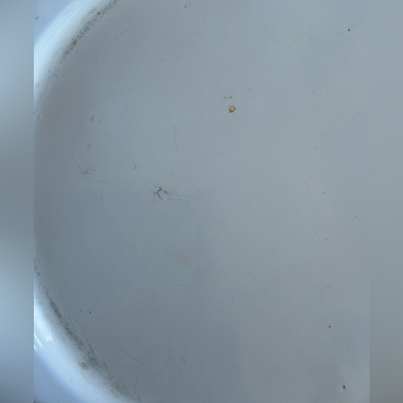 Antique Enamelware Child’s Plate Rare Darling Spring Decor Primitive Cou… - Picture 9 of 14